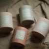 Provencal Bliss Premium Scented Candle - Lavender + Nutmeg, Soy Wax in Handmade Container - 250g - Image 3