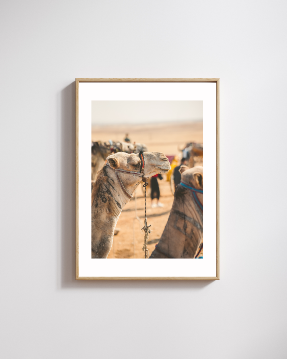 Camel from Cairo Photography Print - Image 2