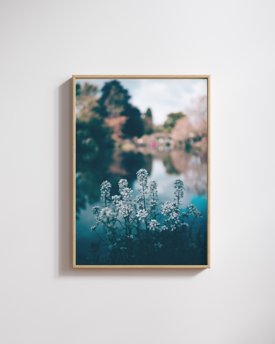 Monet's Garden #3 Photography Print