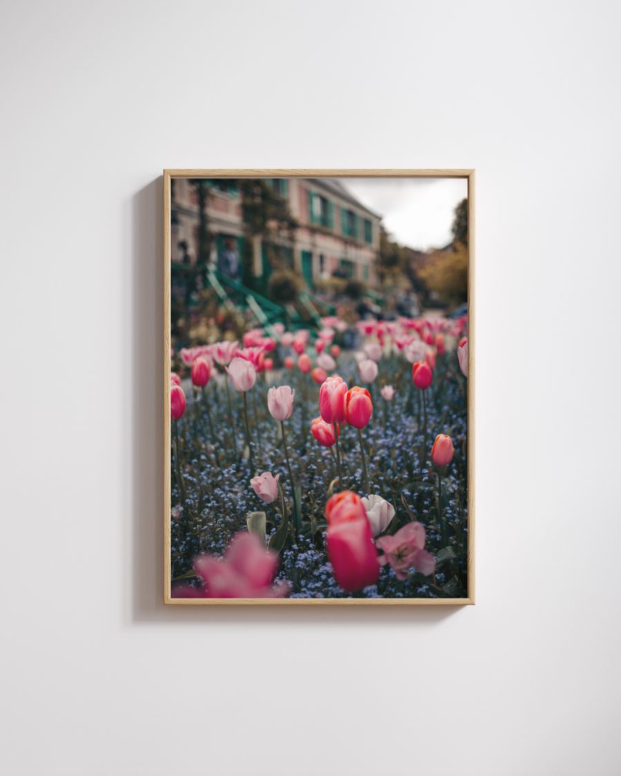 Monet's Garden #2 Photography Print