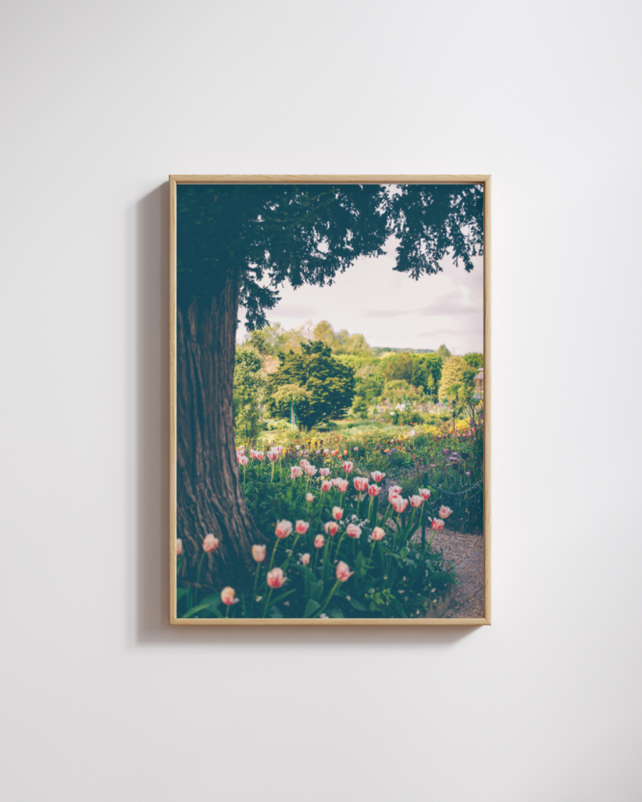 Monet's Garden #1 Photography Print
