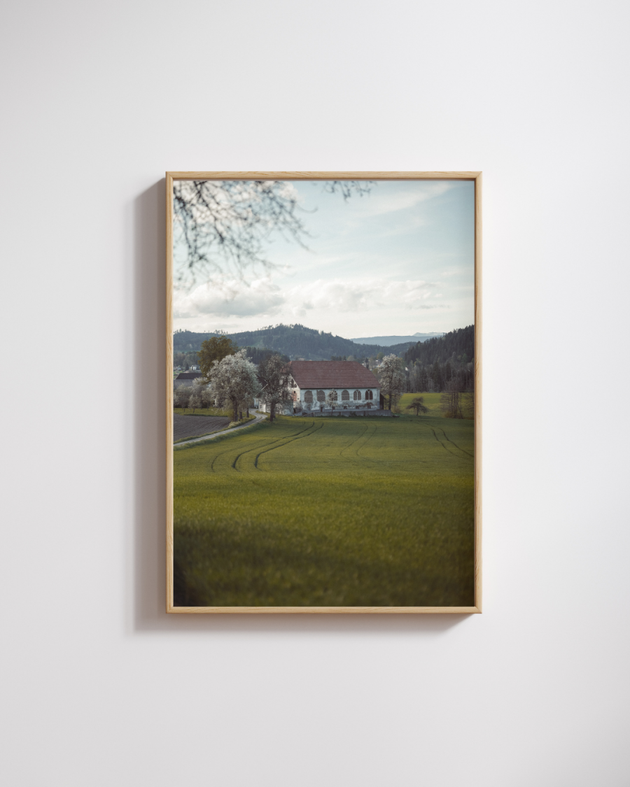 Austria House in the Field Photography Print
