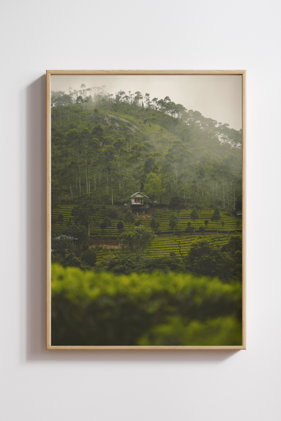 Home in the Hills Photography Print