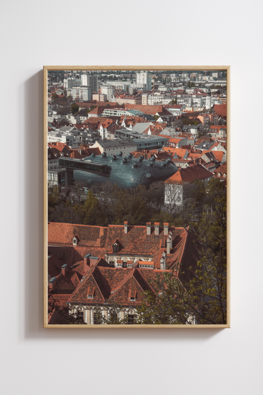 Old Roofs, New Visions Photography Print