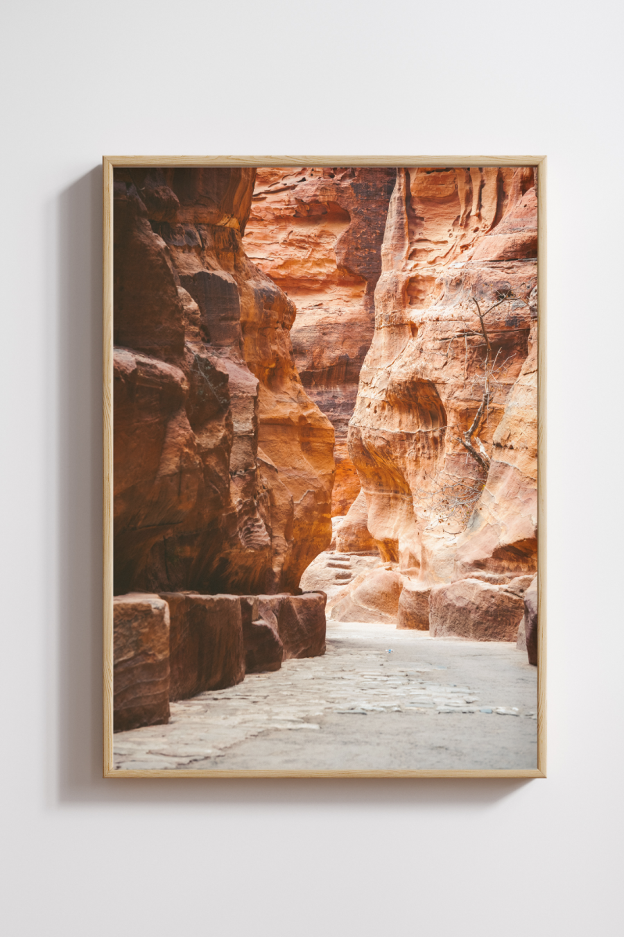 Path through Petra Photography Print