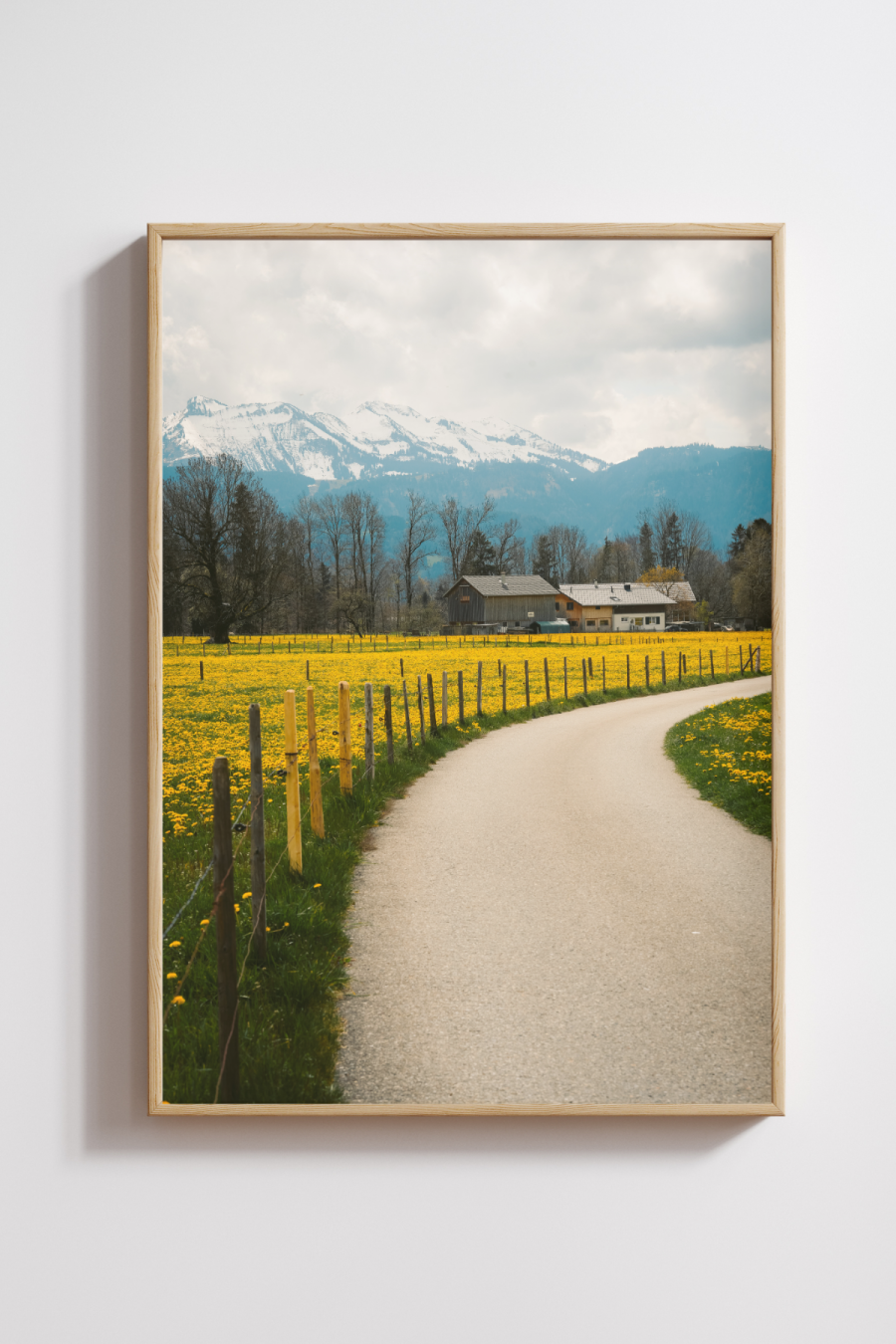 Path Through the Blossoms Photography Print