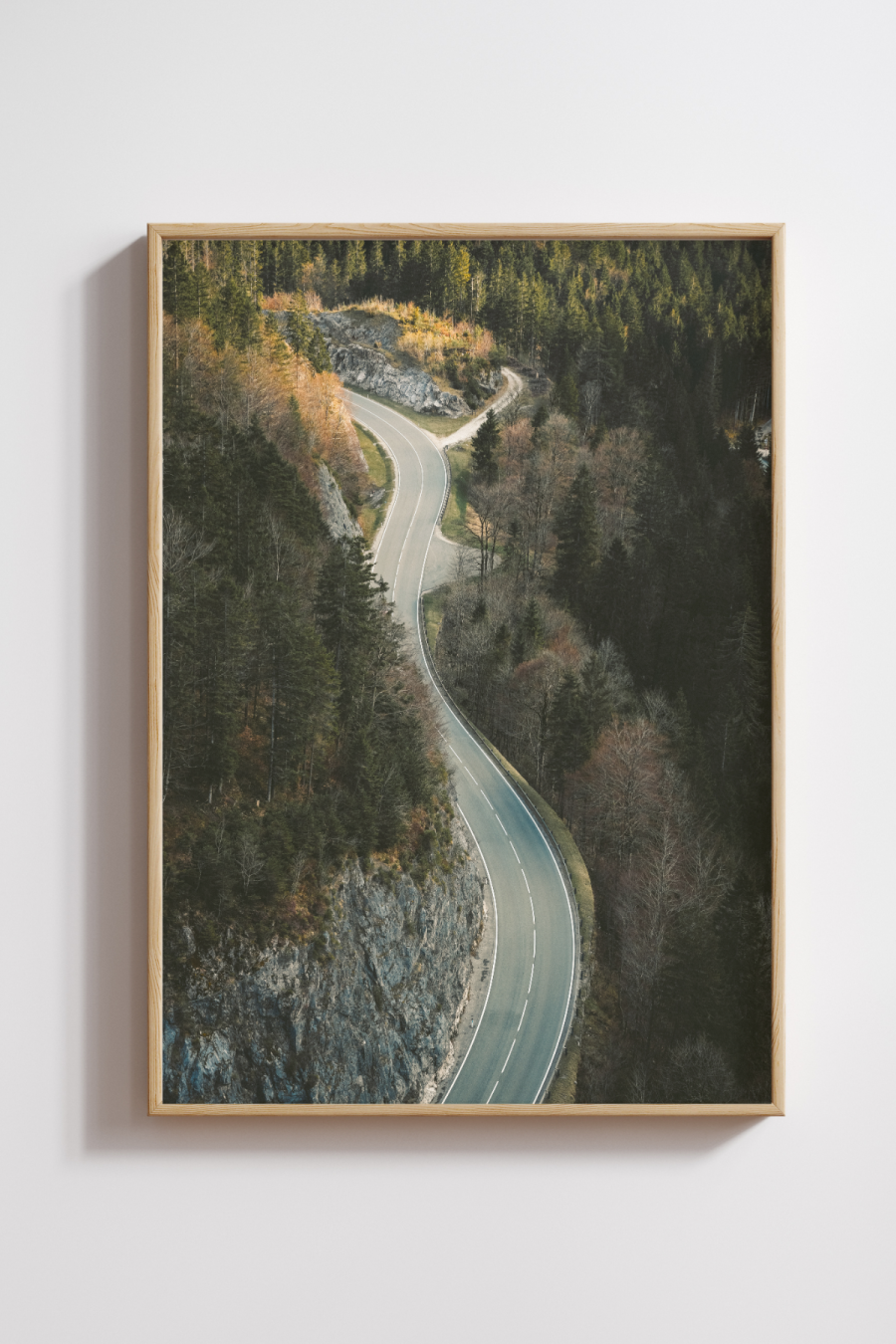 Road Through Silence Photography Print