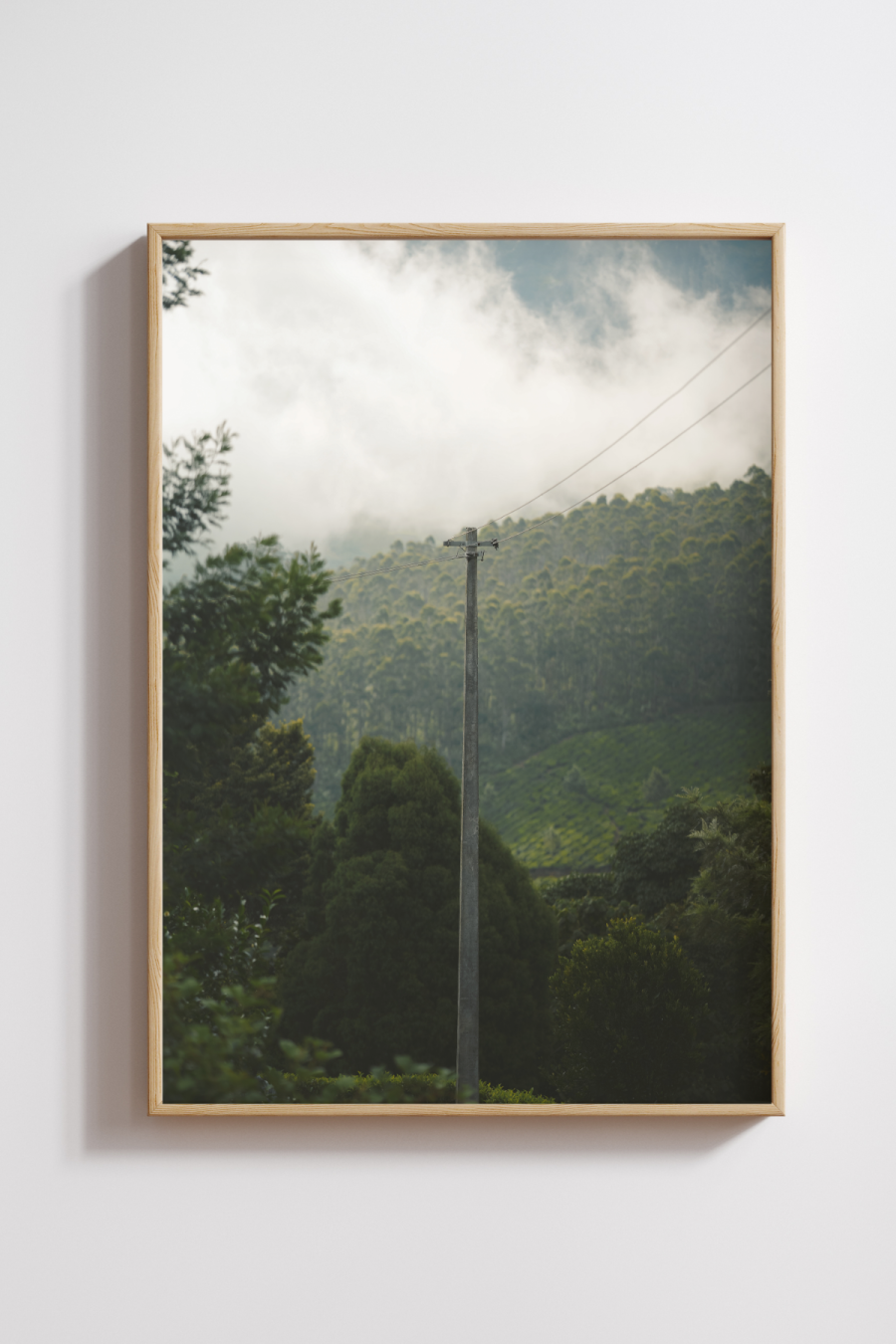 Stillness in the Hills Photography Print