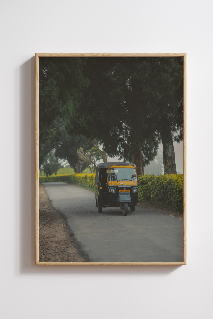 The Road Less Rushed Photography Print
