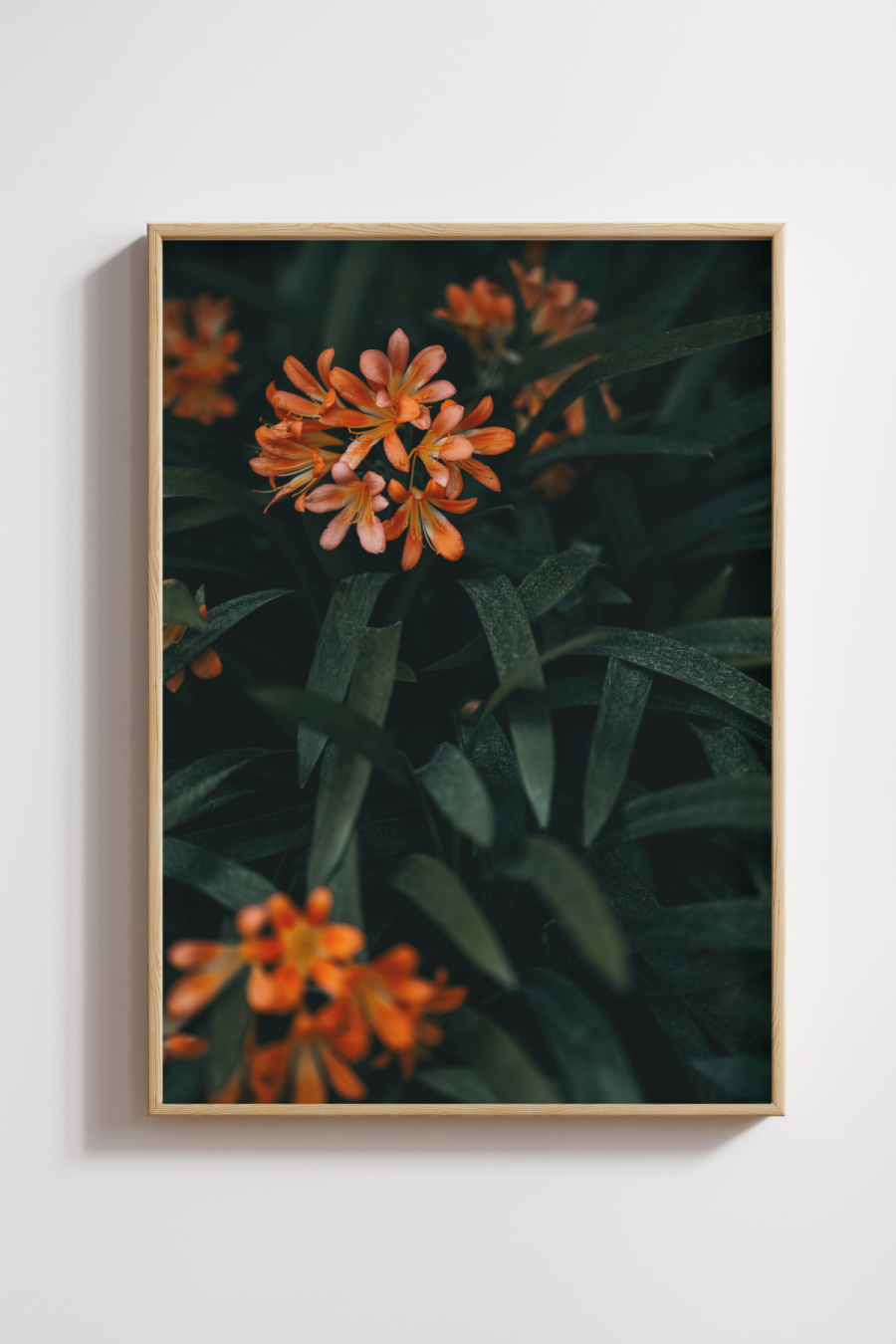 Whispers in Bloom Photography Print