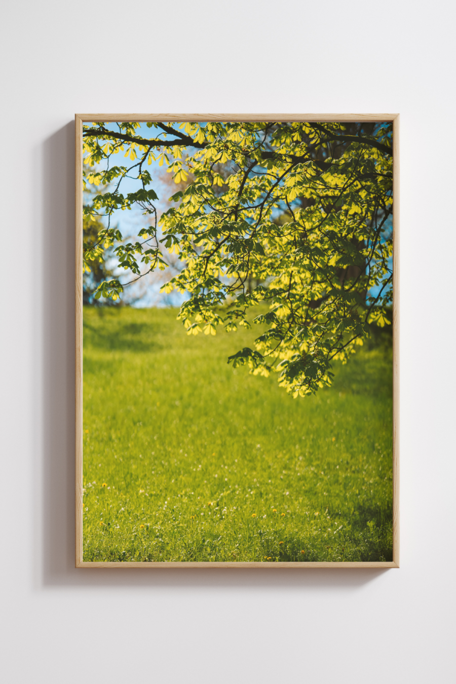 Whispers of Spring Light Photography Print