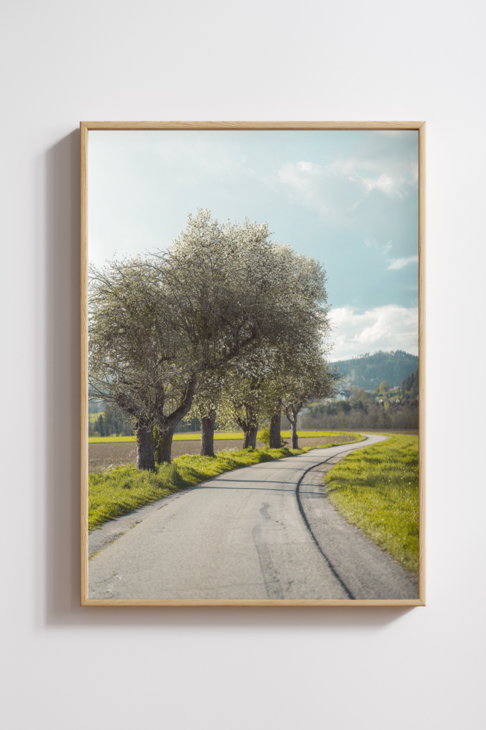 Whispers of Spring Along the Road Photography Print