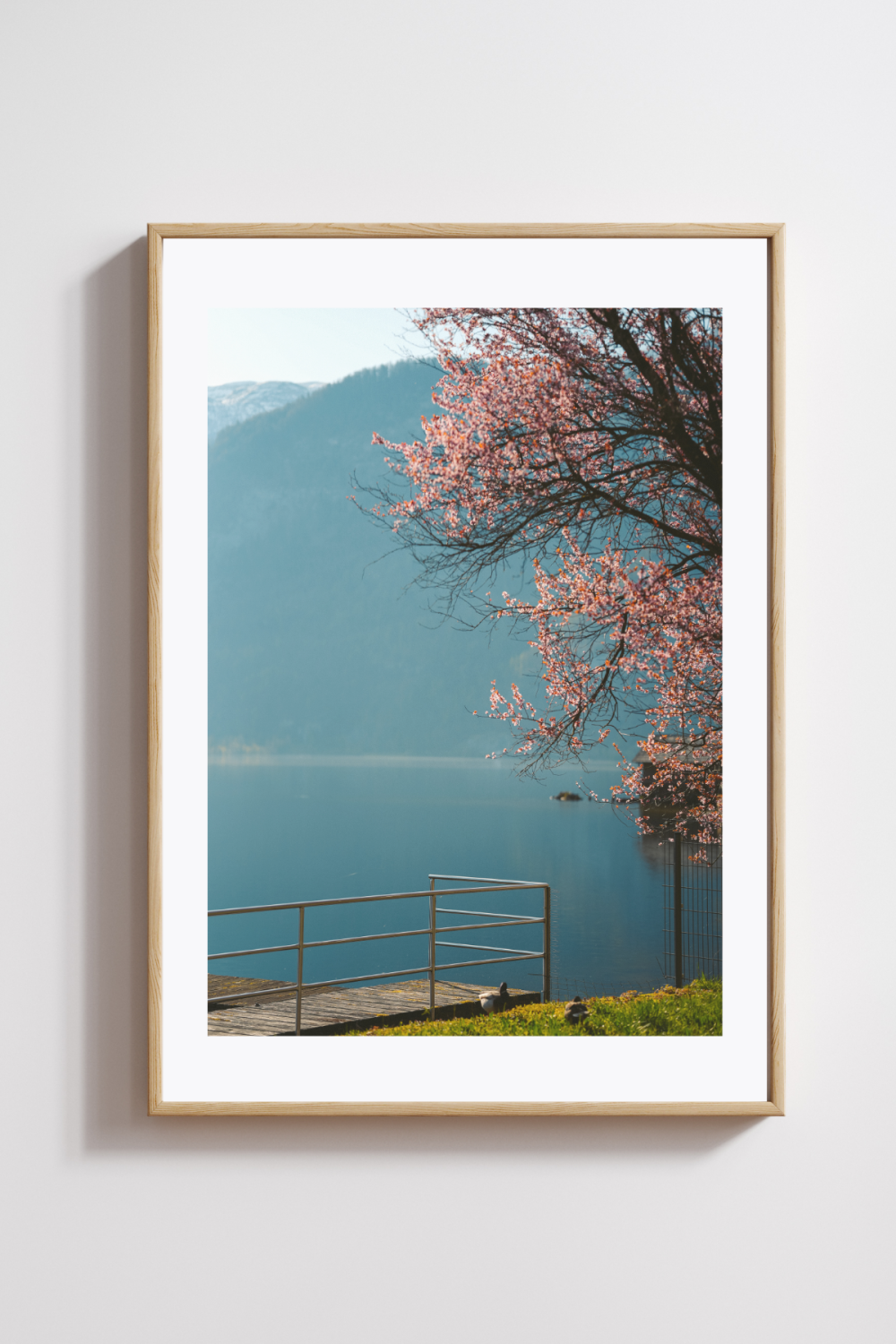 Blossoms by the Lake – Hallstatt in Spring Photography Print - Image 2