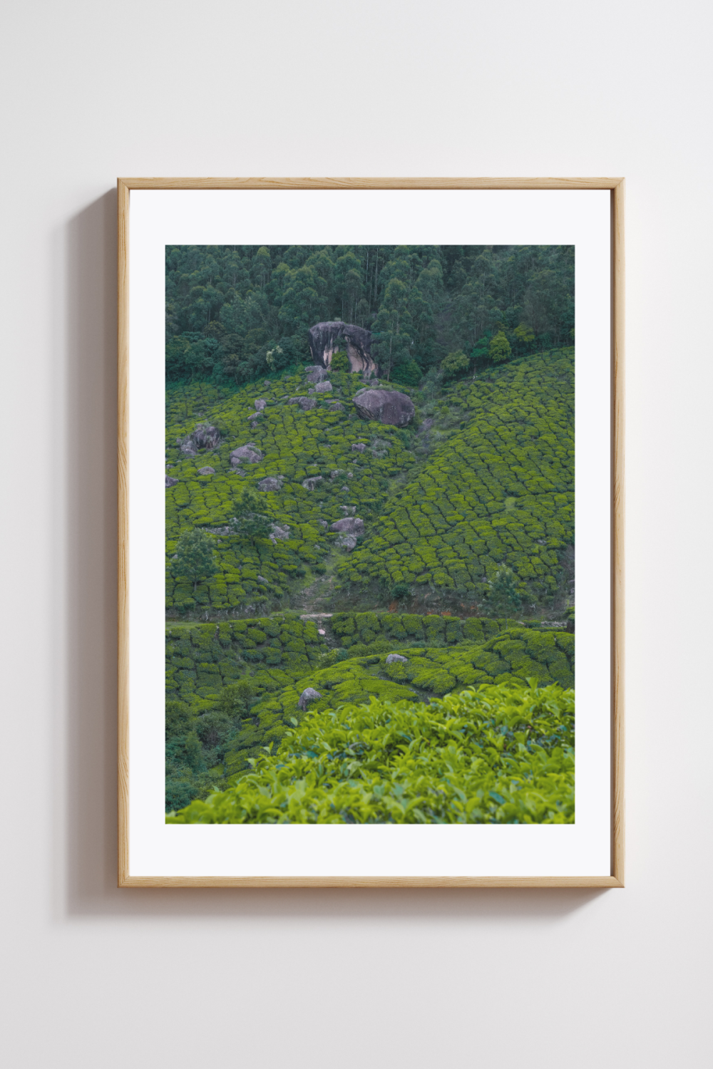 Emerald Slopes of Munnar Photography Print - Image 2