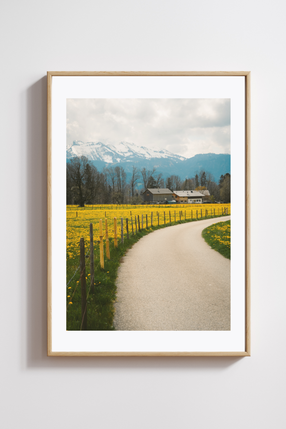 Path Through the Blossoms Photography Print - Image 2