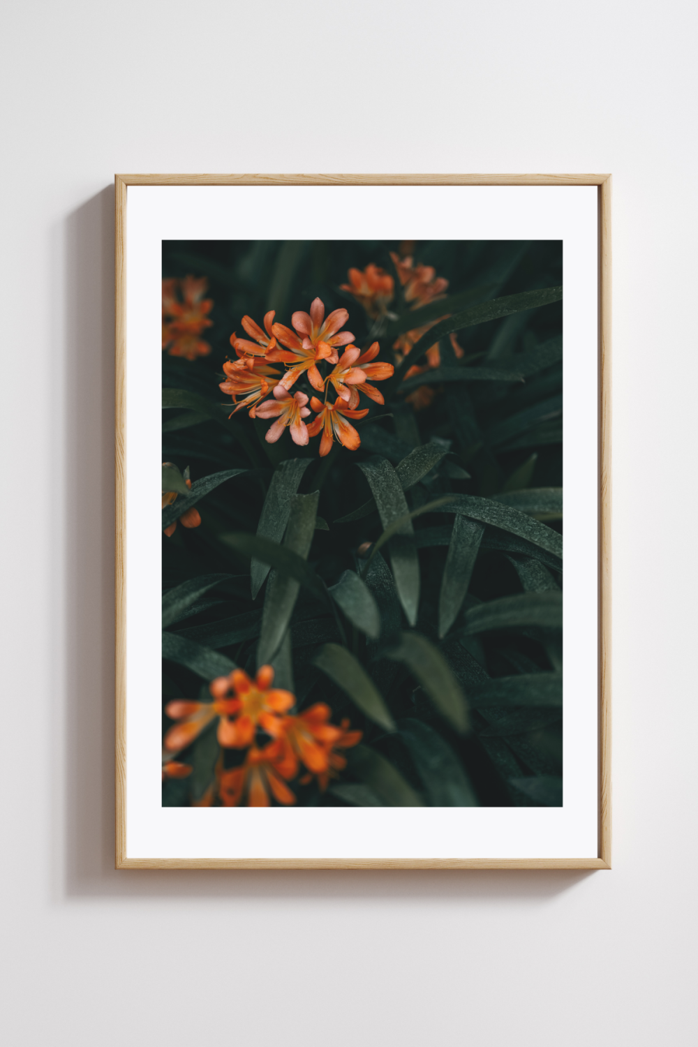 Whispers in Bloom Photography Print - Image 2