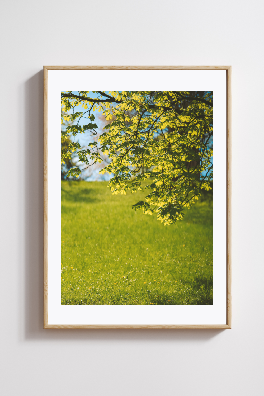 Whispers of Spring Light Photography Print - Image 2