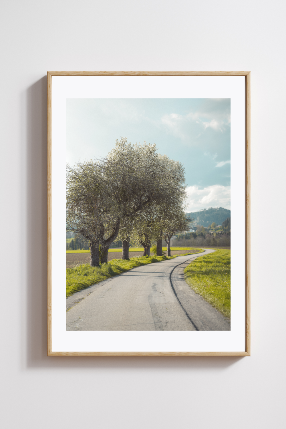 Whispers of Spring Along the Road Photography Print - Image 2