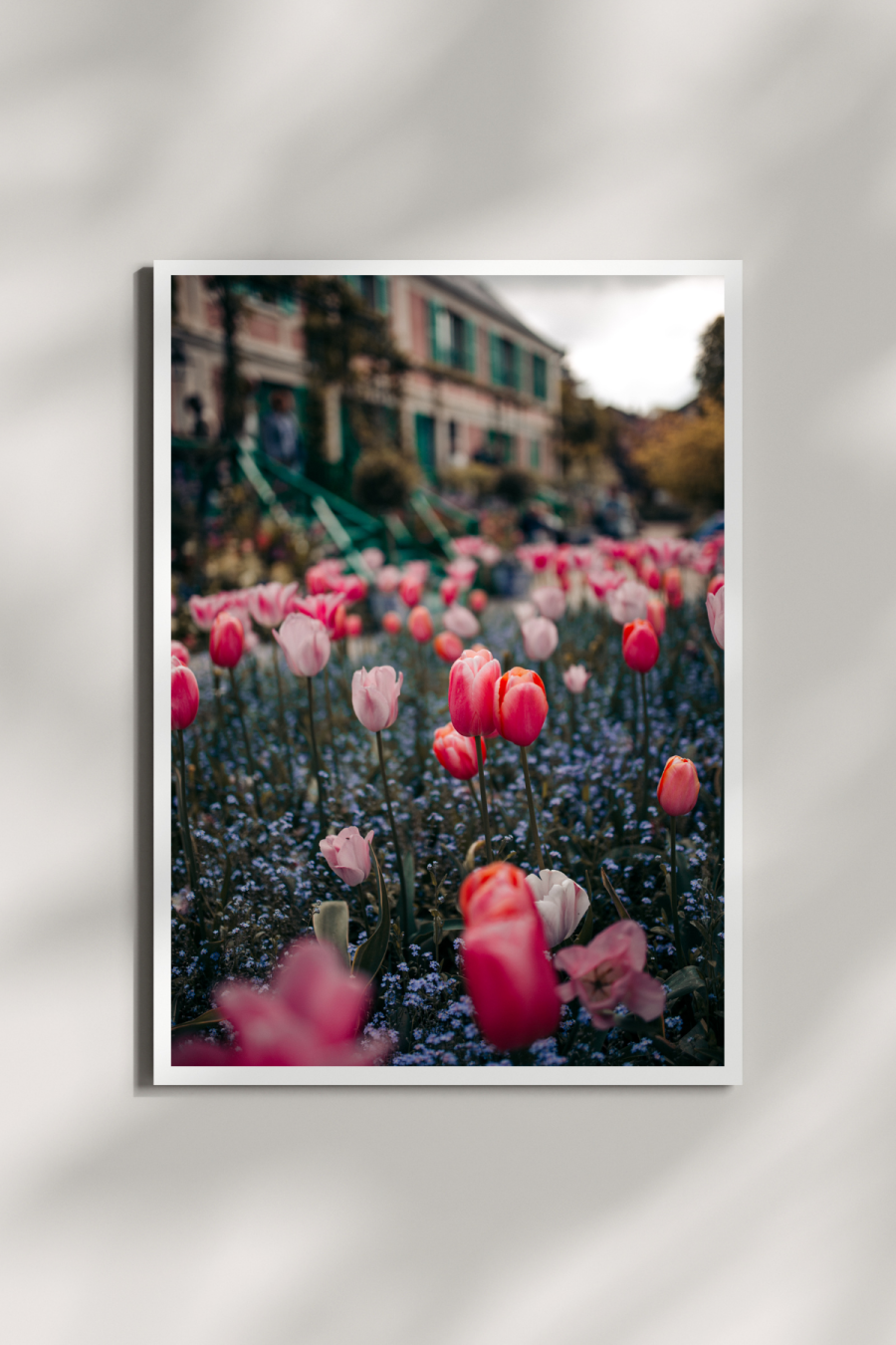 Tulips at Giverny Mini Print