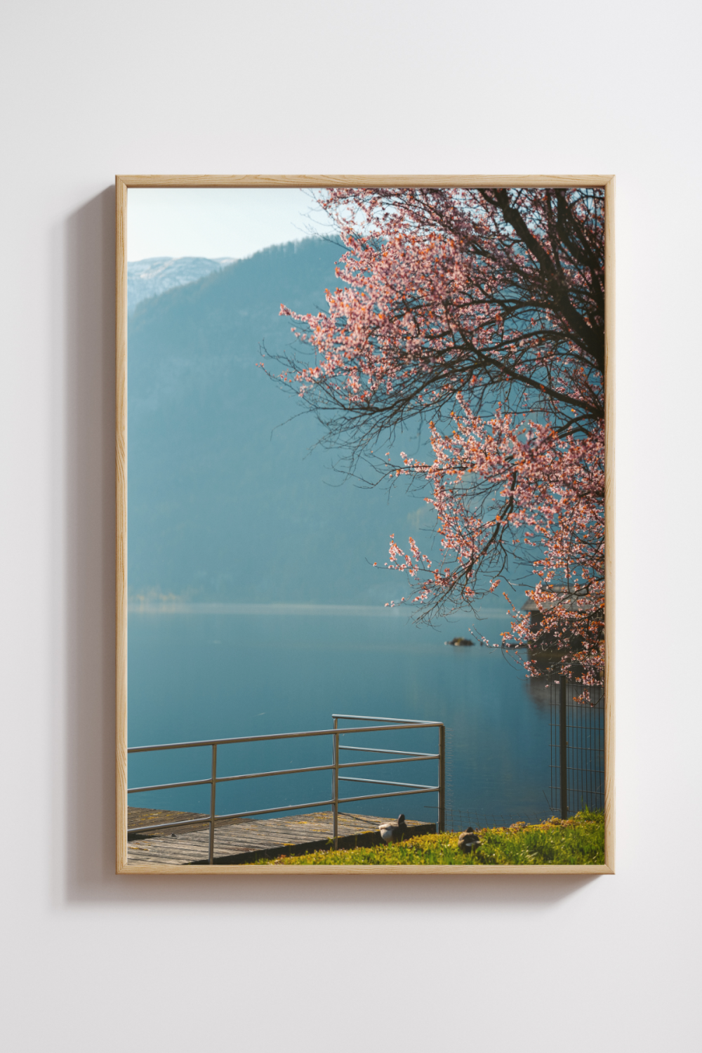 Blossoms by the Lake – Hallstatt in Spring Photography Print