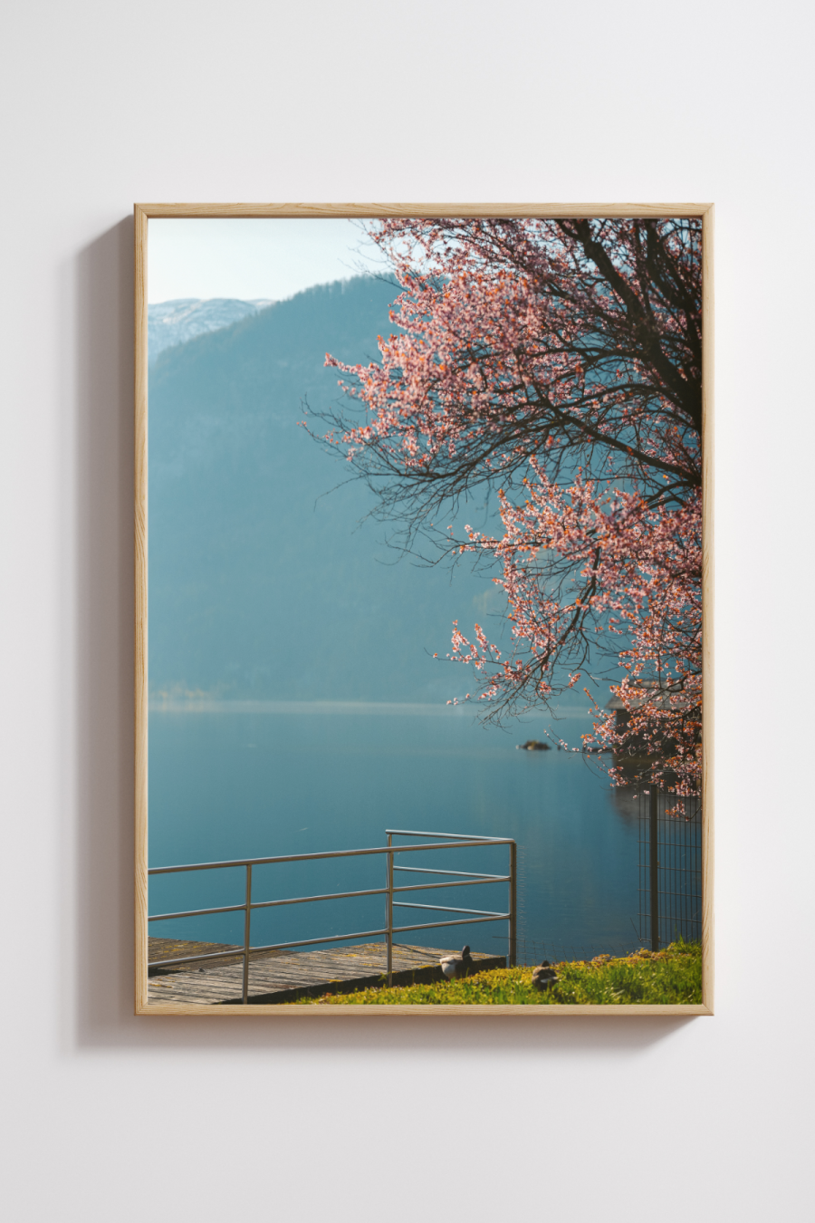 Blossoms by the Lake – Hallstatt in Spring Photography Print