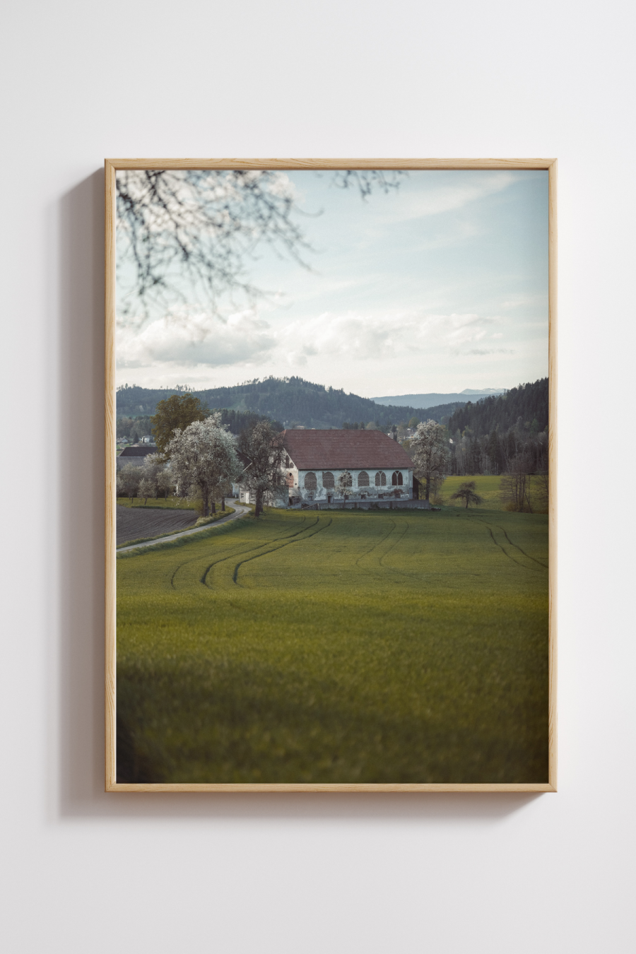 Austria House in the Field Photography Print